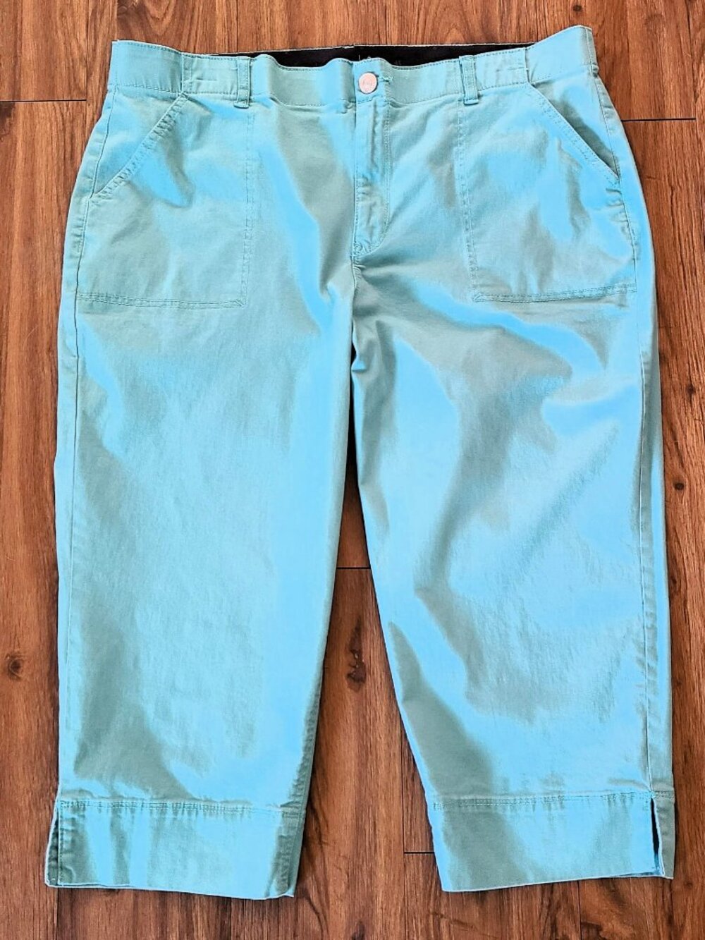 Gloria Vanderbilt Womens Crop Capri Pants RHEA Aqua Size 18